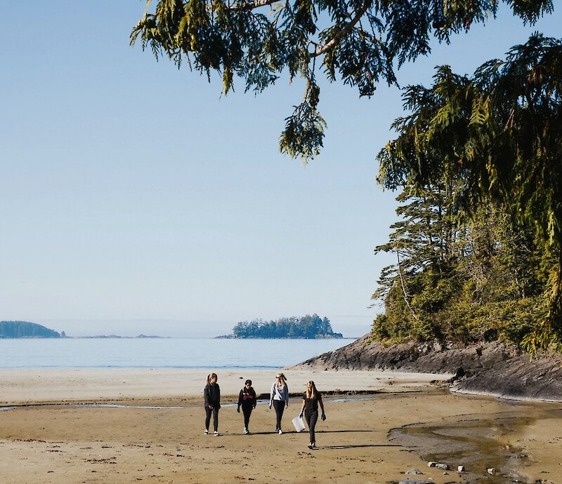 Remote Cleanup with Surfrider