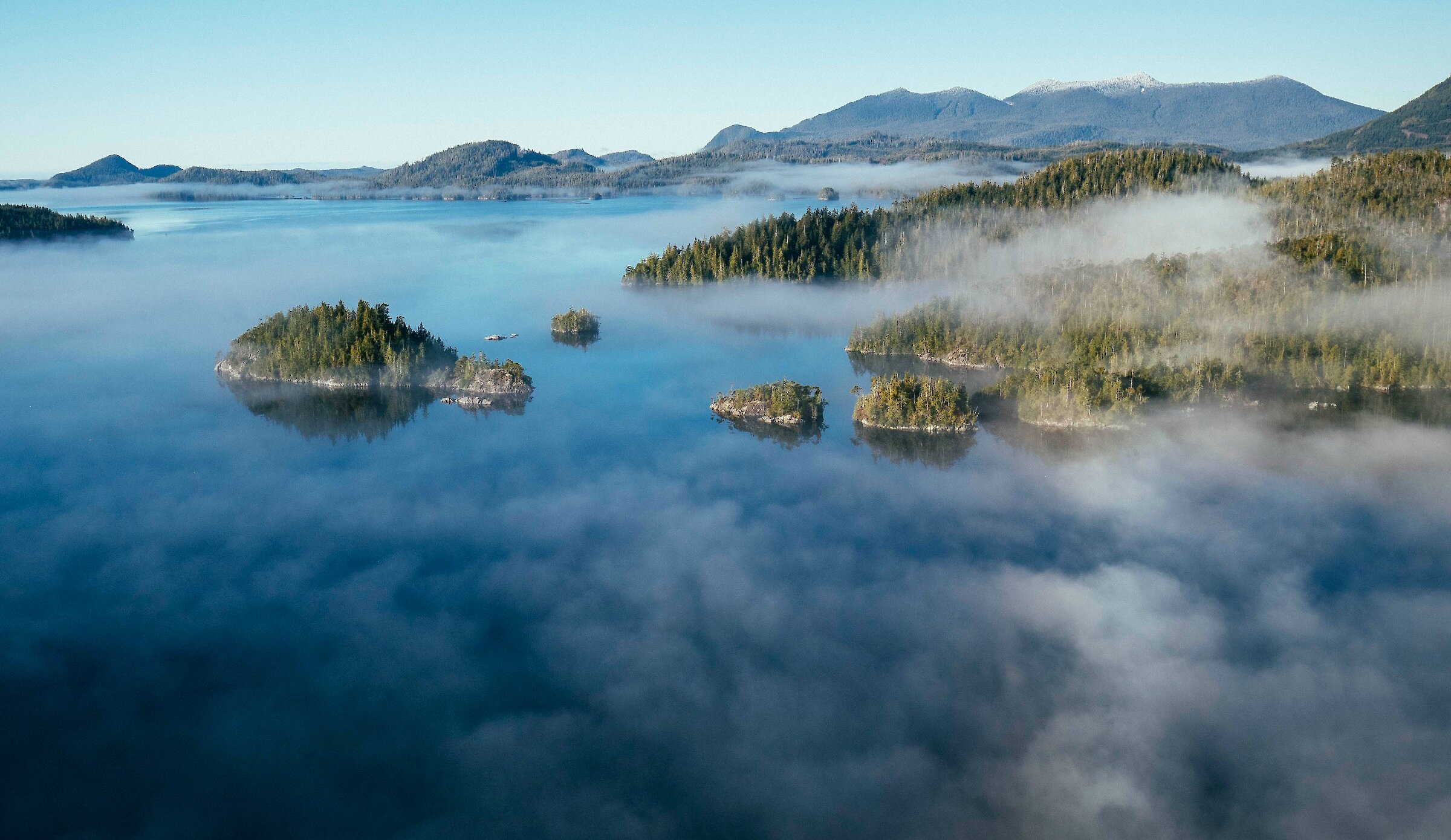 Aerial photo of Clayoquot Sound