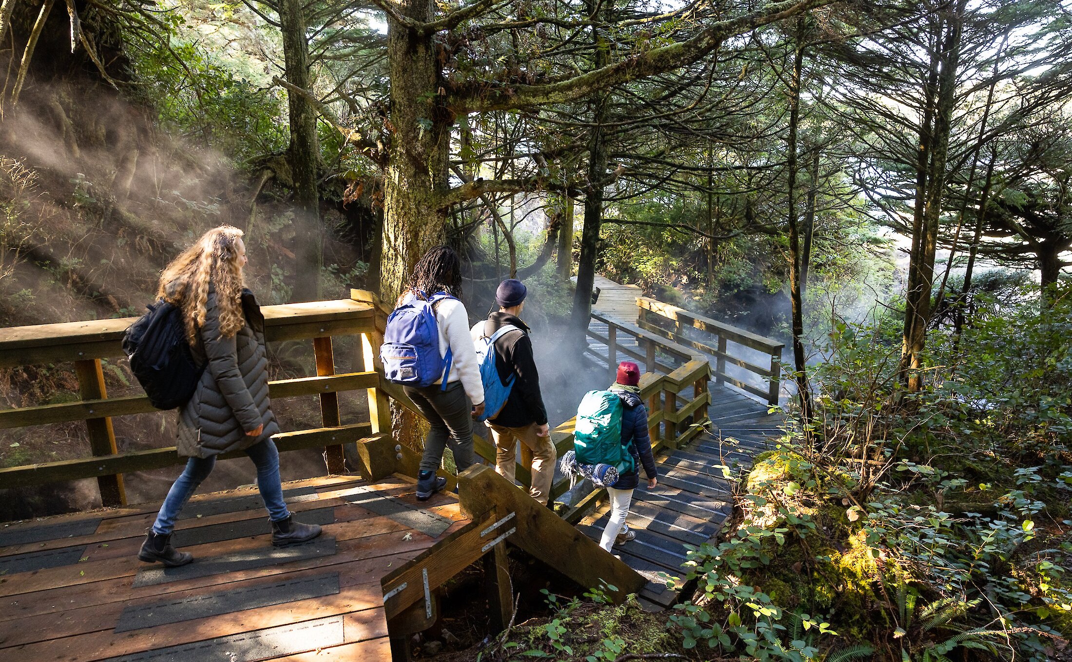 A group of people descending wooden stairs in the forest with steam rising as they arrive at Hot Springs Cove.