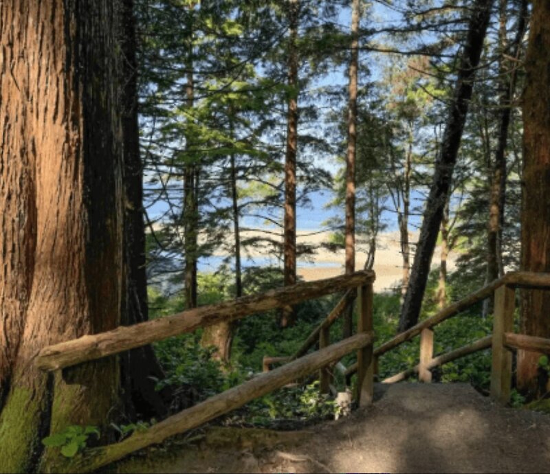 Guided Walk of Tonquin Trail