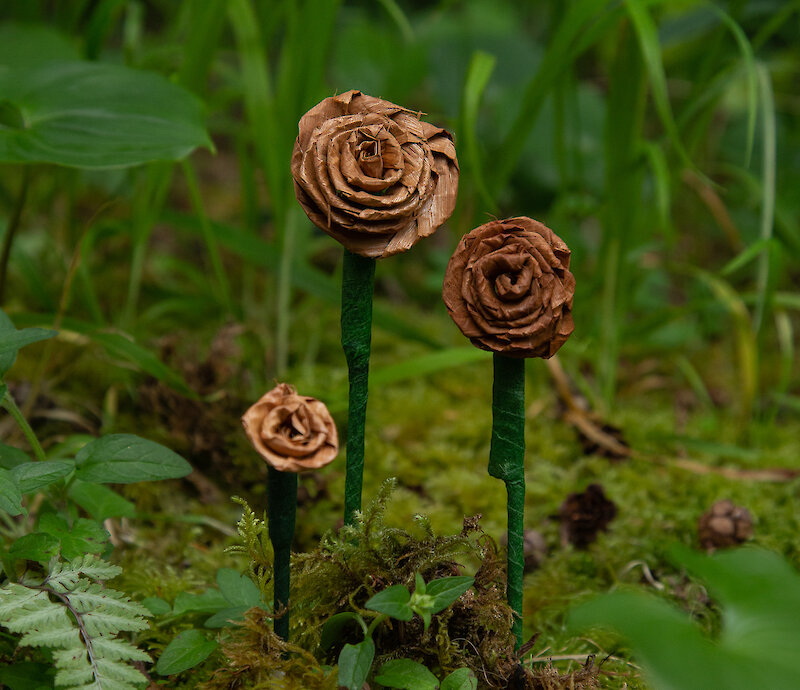 Cedar Roses with Elizabeth George