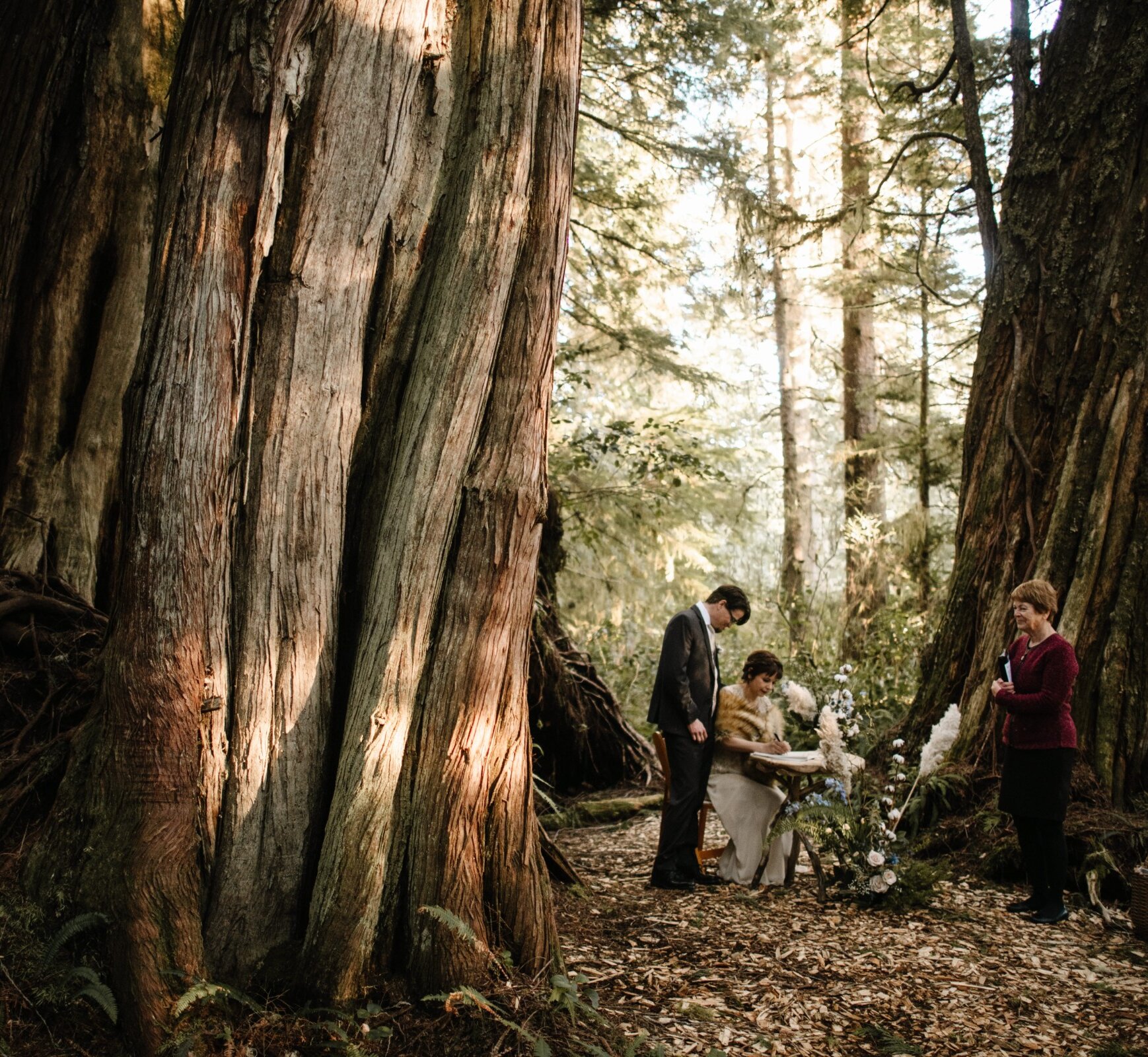 Couple signing wedding papers at table in old growth forest
