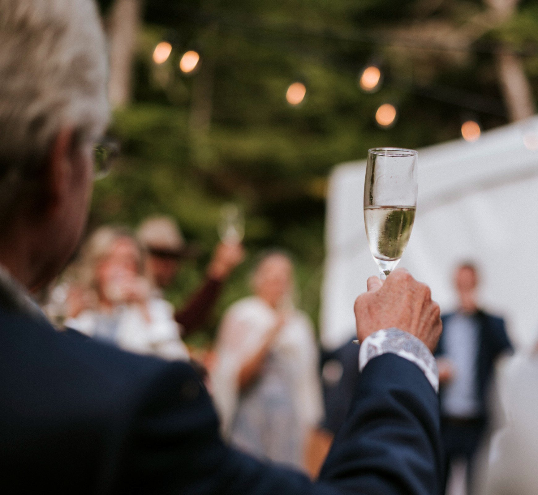 Person holding up a glass of champagne in a toast