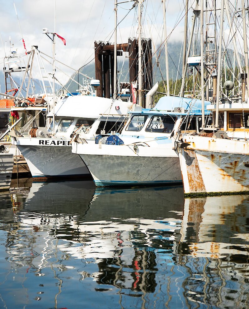 Fishing boats in the harbour