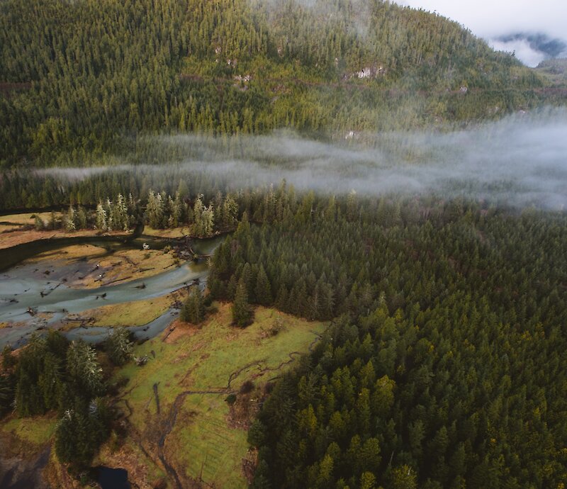 More Precious Than Gold With Tla-o-qui-aht Tribal Parks