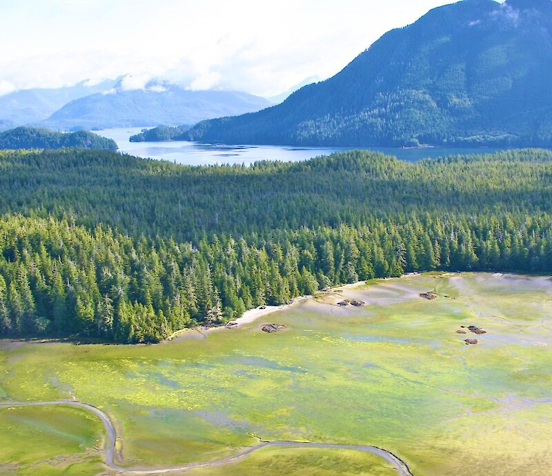 West Coast Ambassador - Small Town Big Picture: Tofino