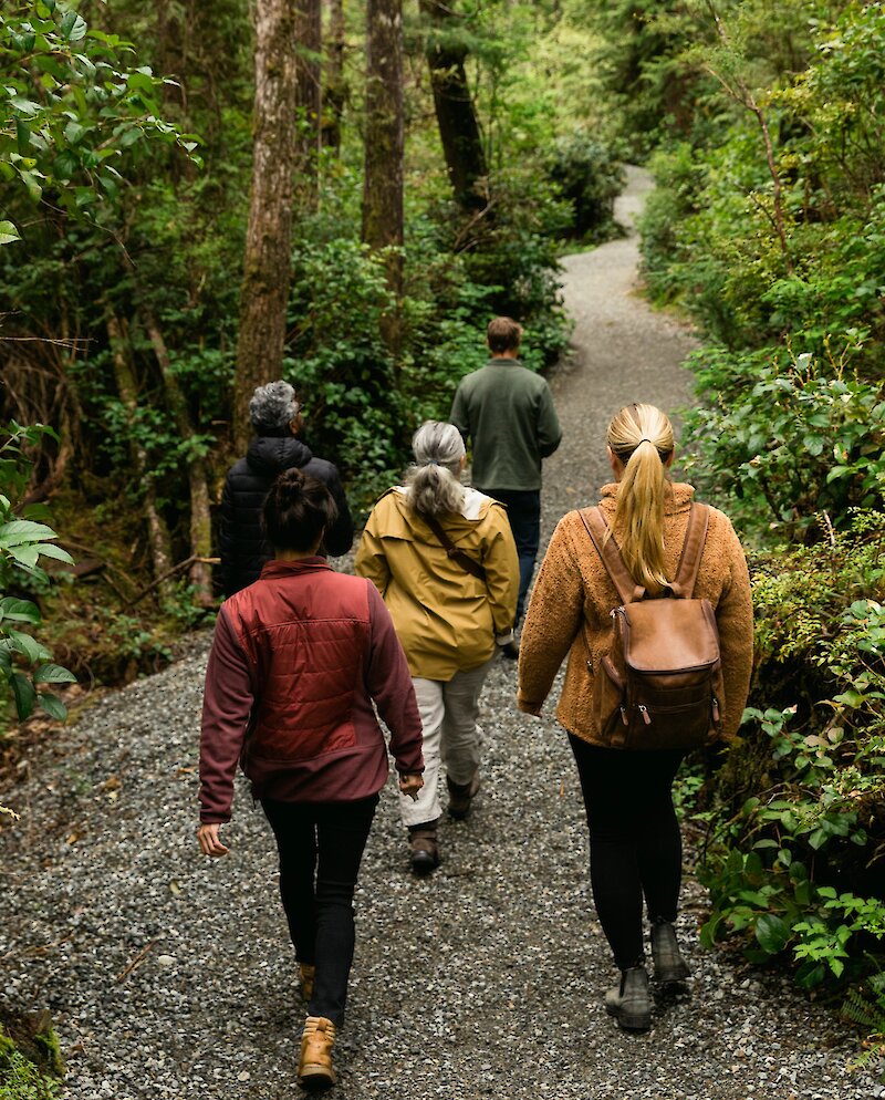 Group hiking on a gravel trail in the forest