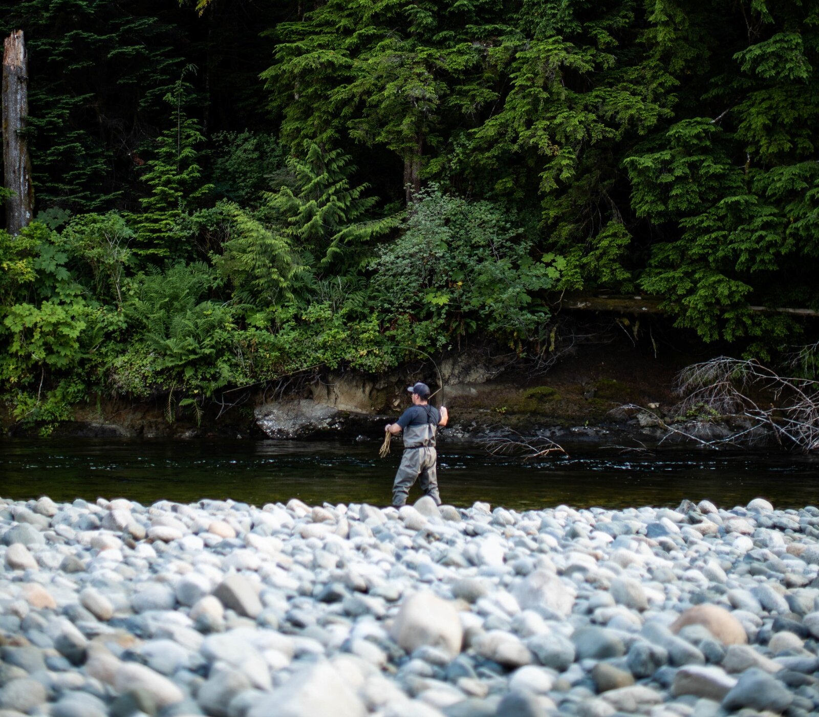 Person fly fishing in the distance along a rocky river bank with forest in the background