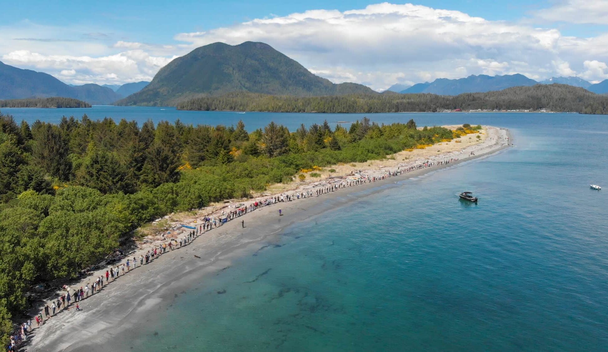 aerial photo of people holding hands on a beach