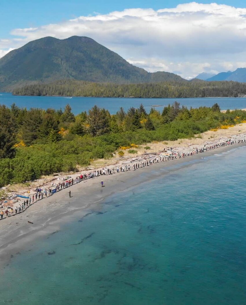 aerial photo of people holding hands on a beach