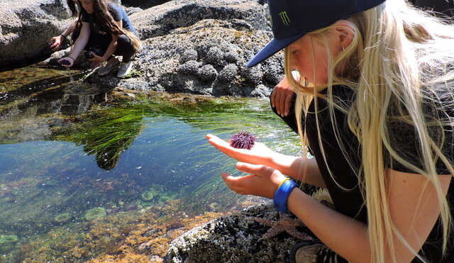 blonde girl with baseball cap looking at tide pool