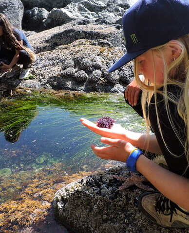 blonde girl with baseball cap looking at tide pool