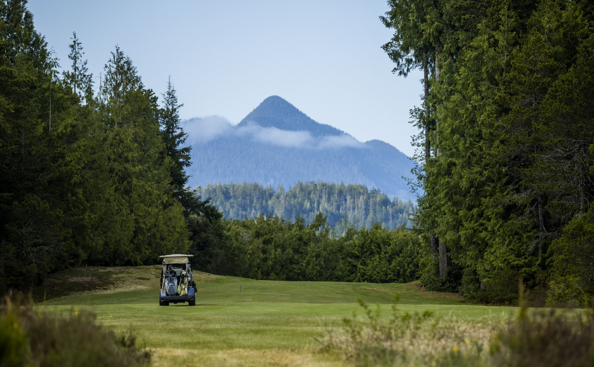 Golf cart with people driving across the green and the mountains of Clayoquot Sound in the background.