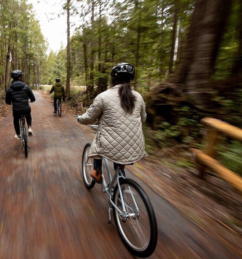 Three people biking along the ʔapsčiik t̓ašii paved path through the forest.
