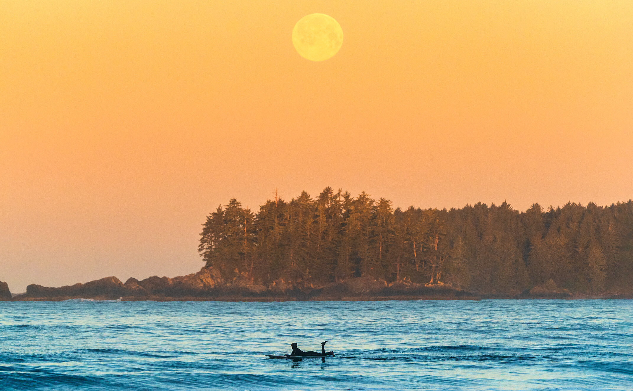 Surfer paddling out on the water at sunrise