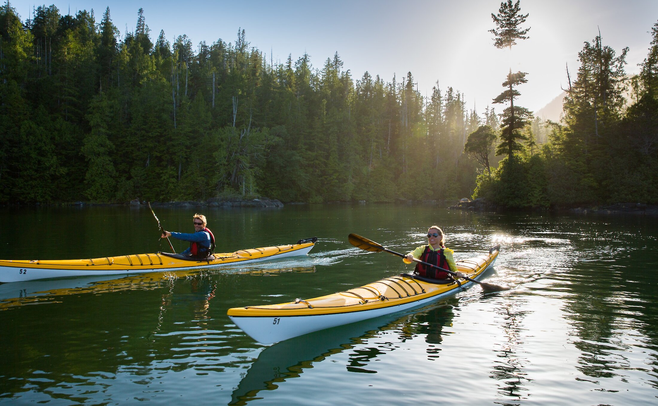 Two people paddling on the ocean with the forested shoreline behind them