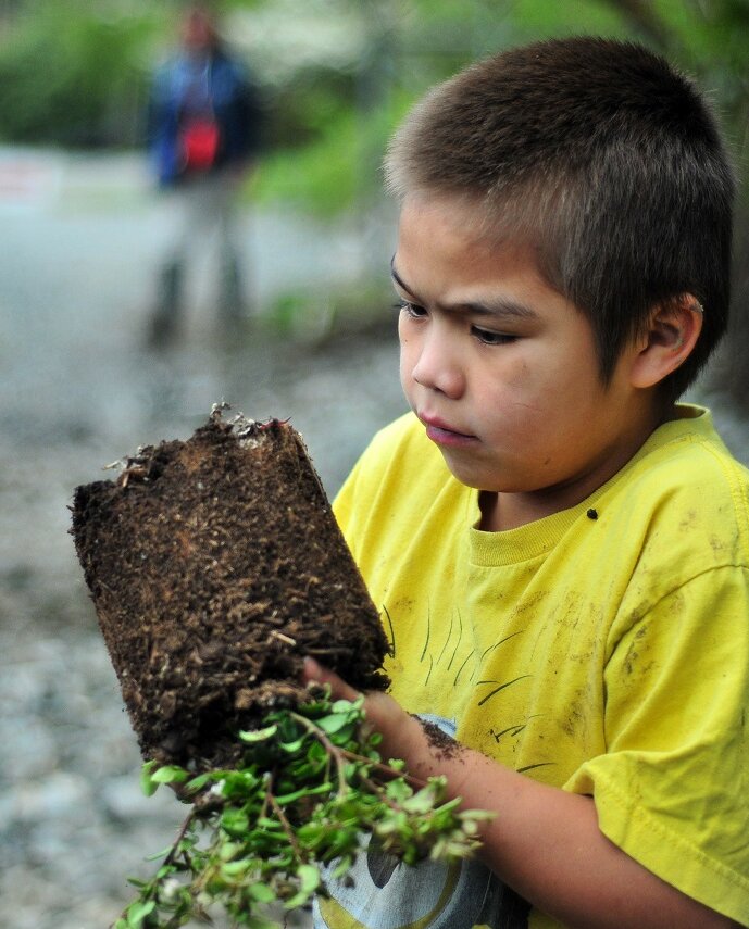 Child holding a plant ready to be put in the ground