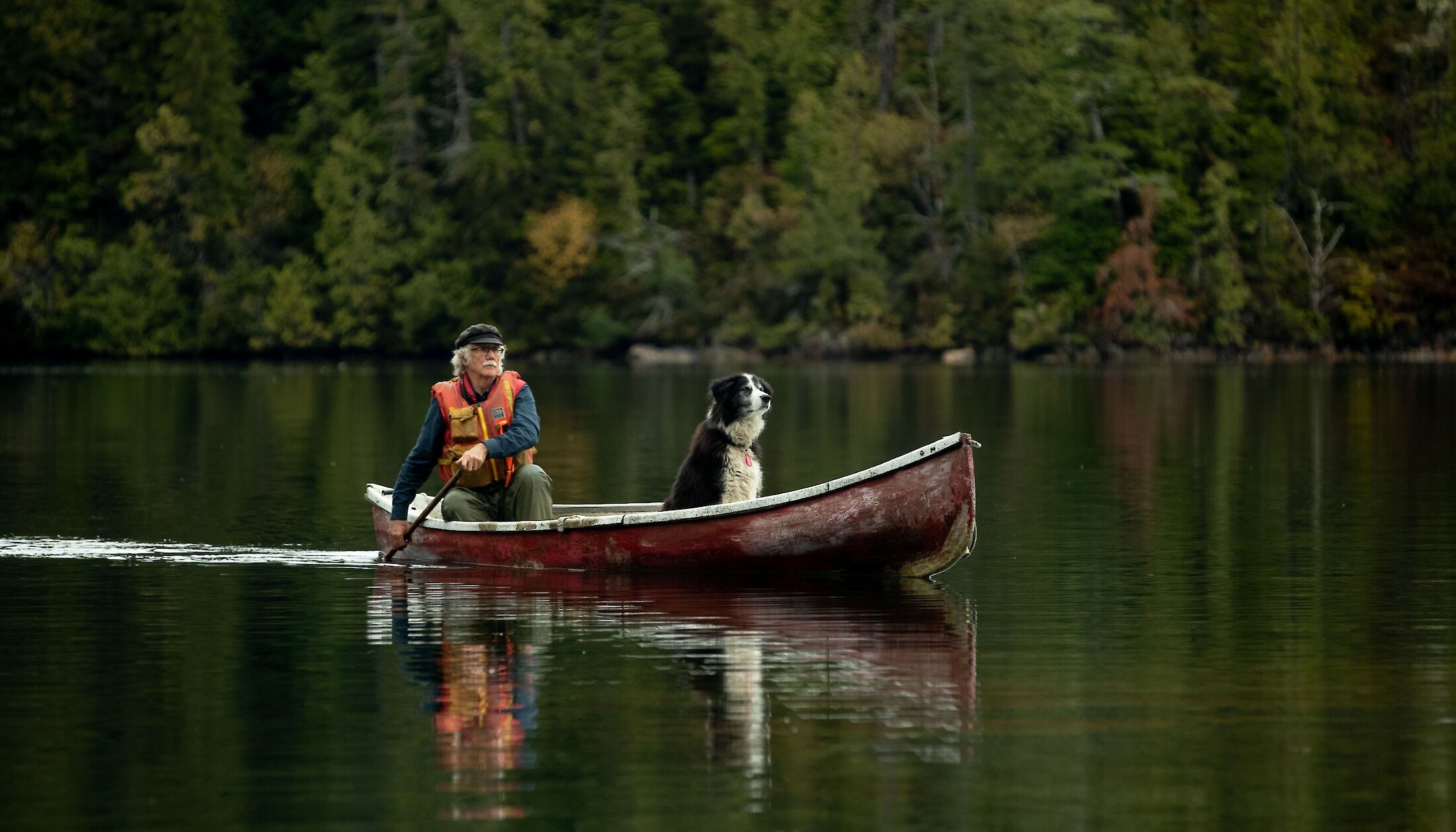 A man canoeing with his dog