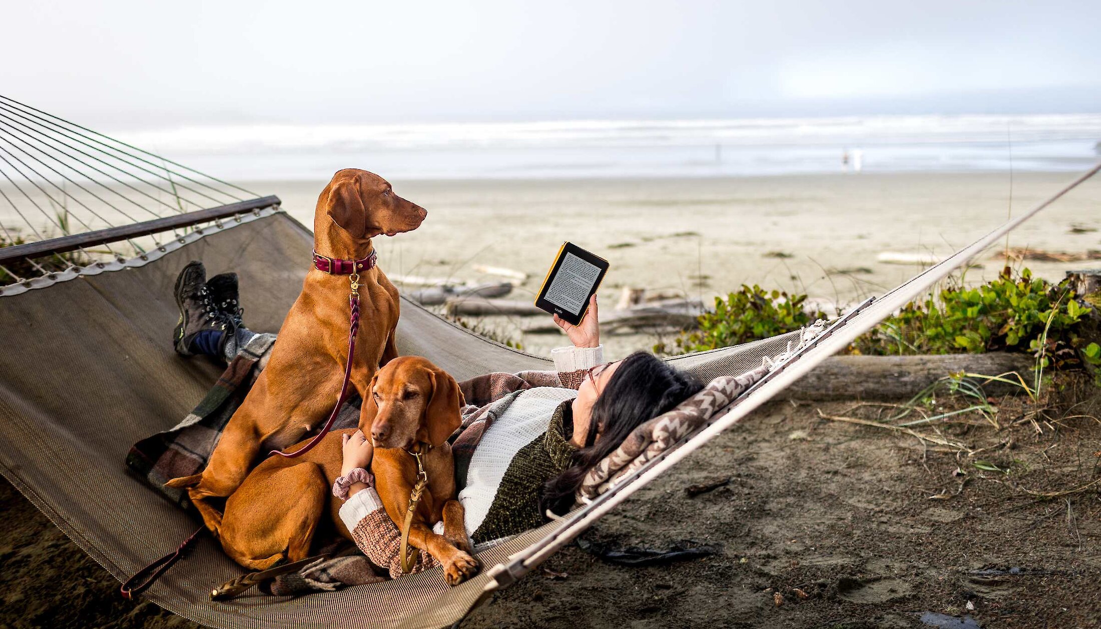 Woman reading in a hammock on the beach with her two dogs