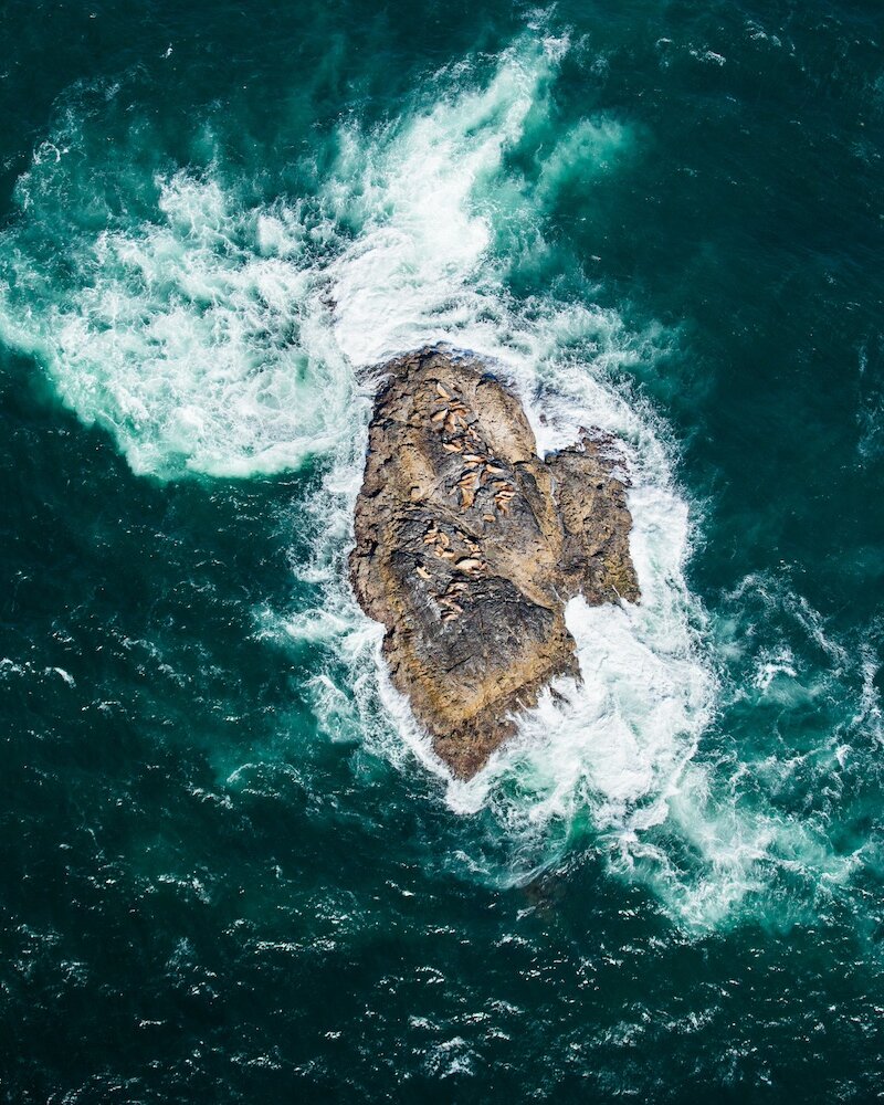 Sea lions sunbathing on a rocky island