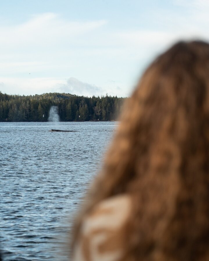 Woman watching breaching whales