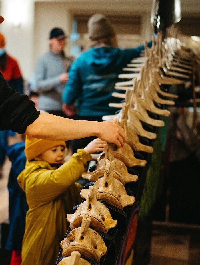 little girl in a yellow raincoat touching a whale skeleton