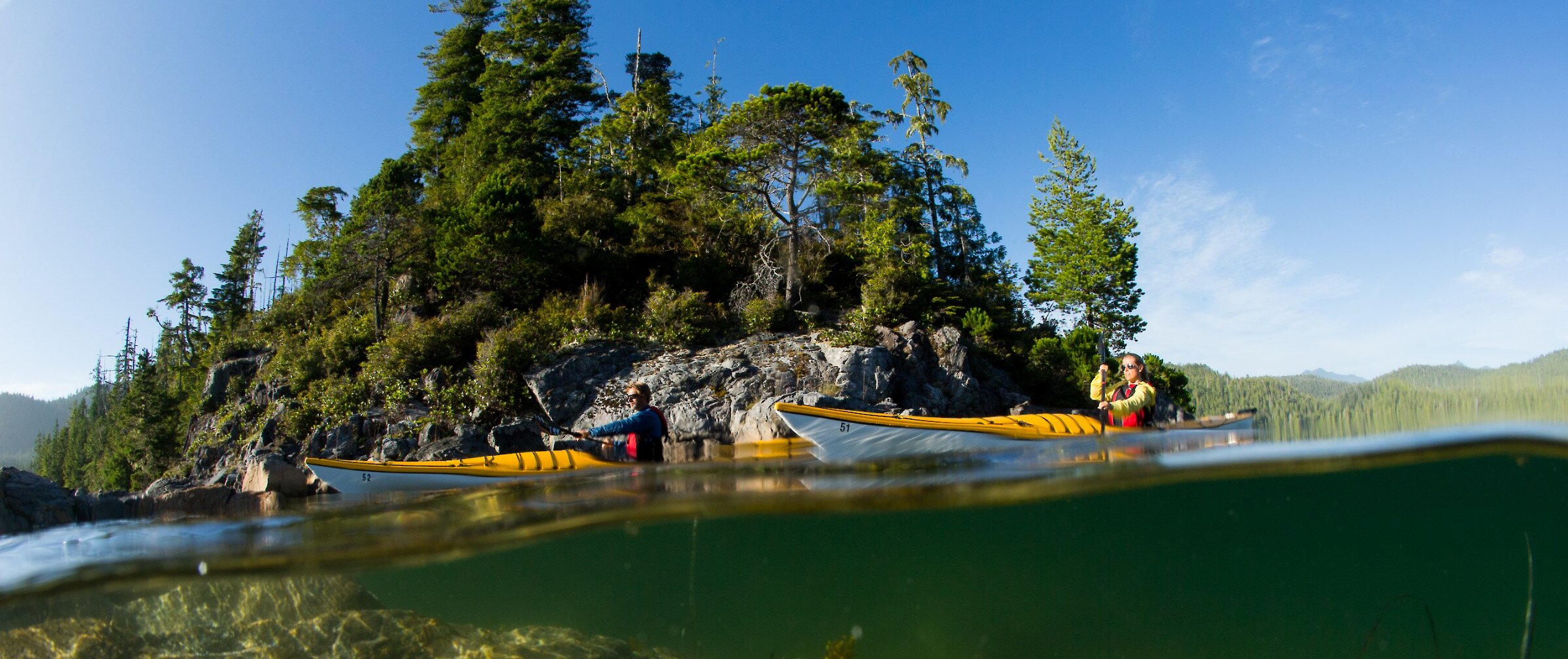 Kayakers on the ocean with underwater rocks and kelp below