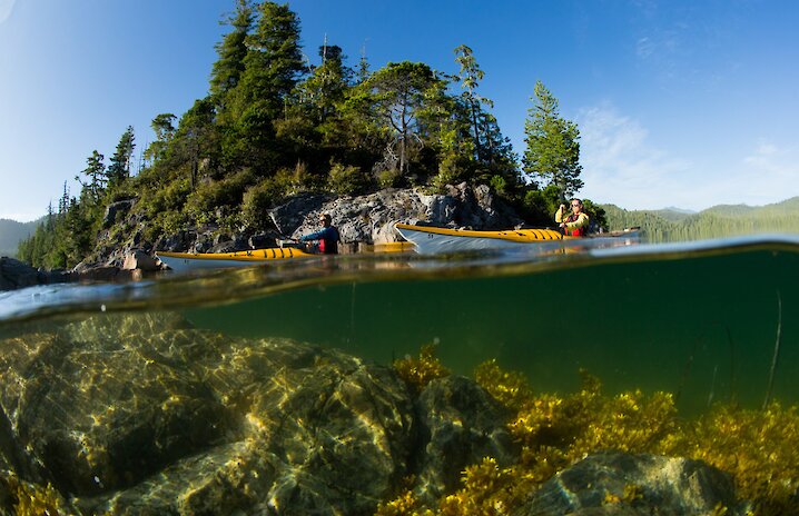 Kayakers on the ocean with underwater rocks and kelp below