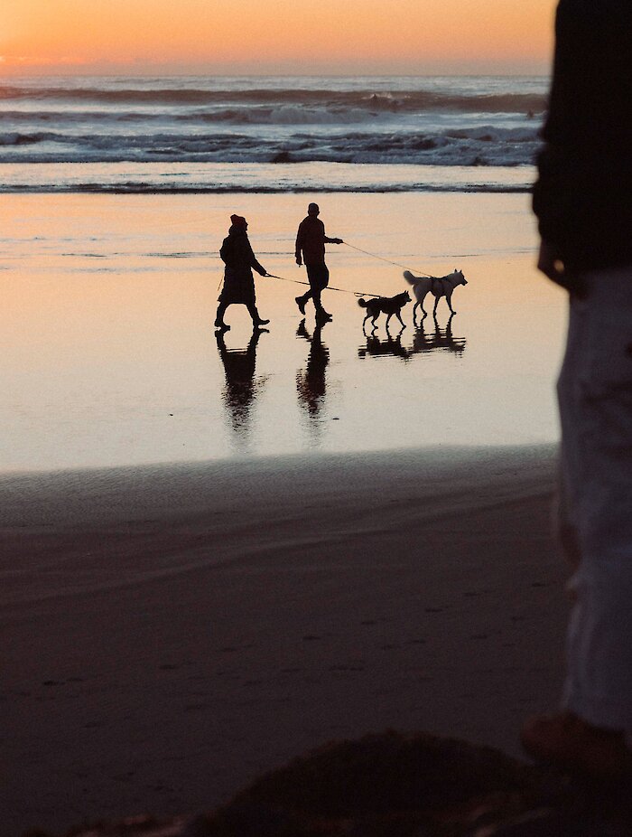 Person look at the sunset with people walking their dogs on leash on the beach