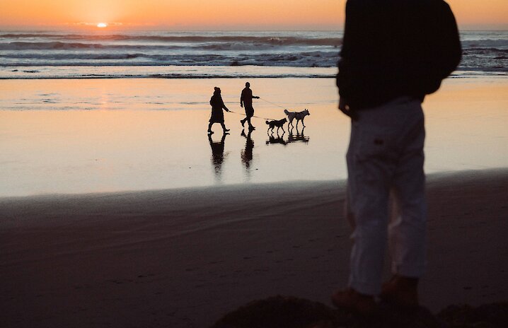 Person look at the sunset with people walking their dogs on leash on the beach