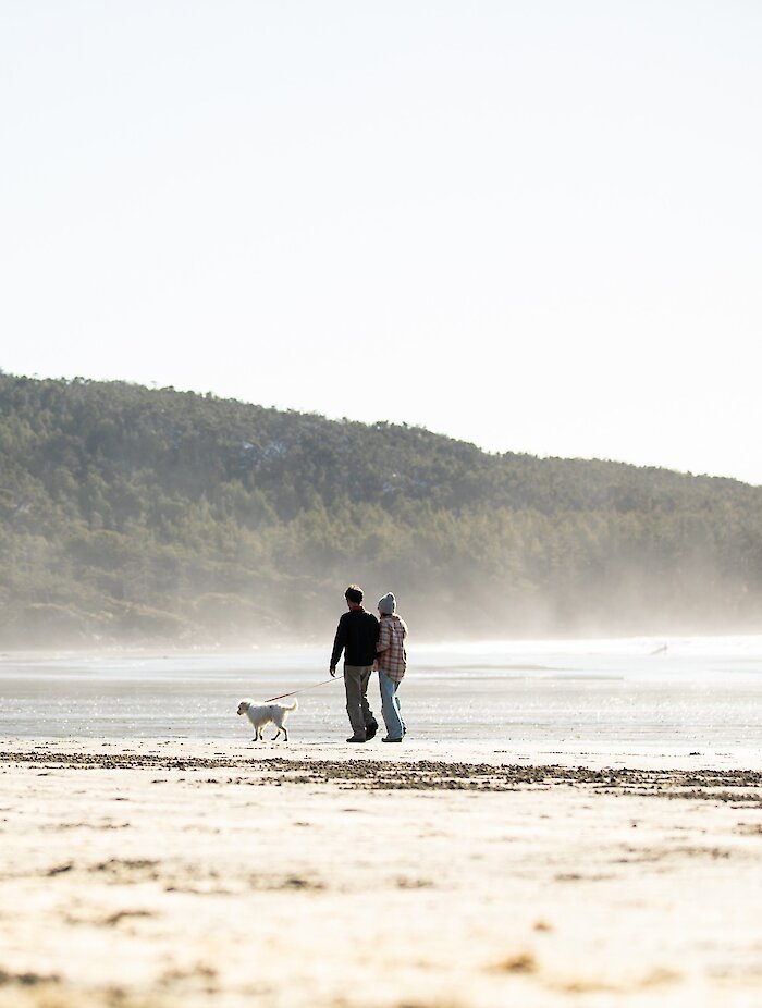 man and woman walking dog on Cox Bay