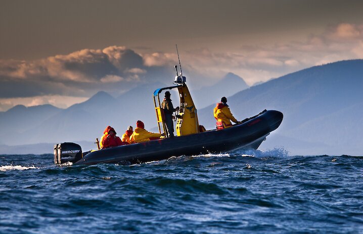A zodiac boat cruising Clayoquot Sound on a whale watching trip