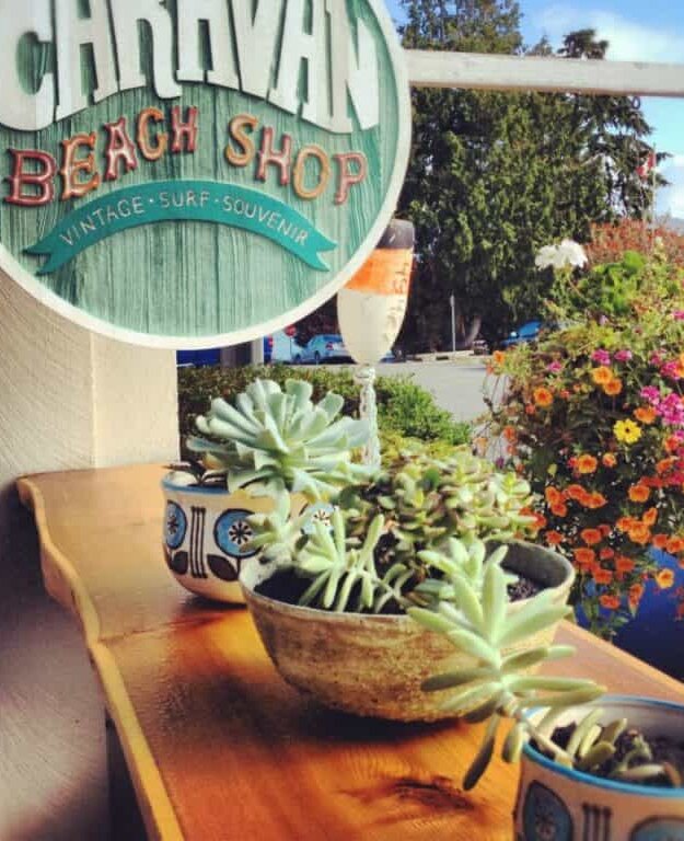 round shop sign hanging above succulents