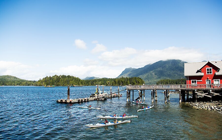 Tofino Harbour with kayaks in water
