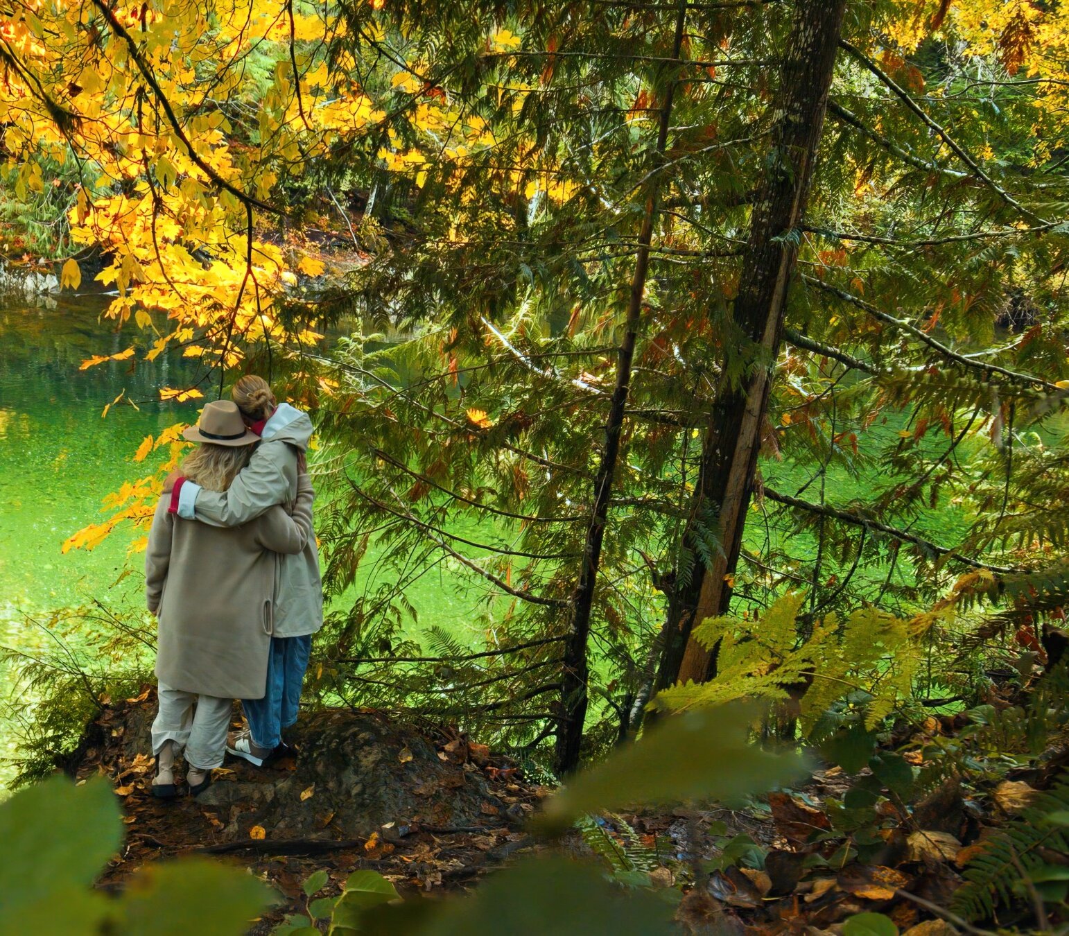 Highway pitstop at Taylor River, between Port Alberni and Tofino