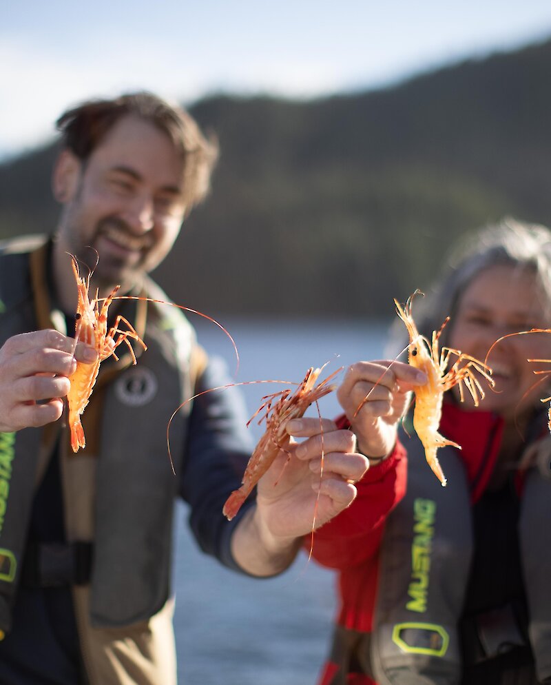 People holding fresh prawns in their hands on a boat