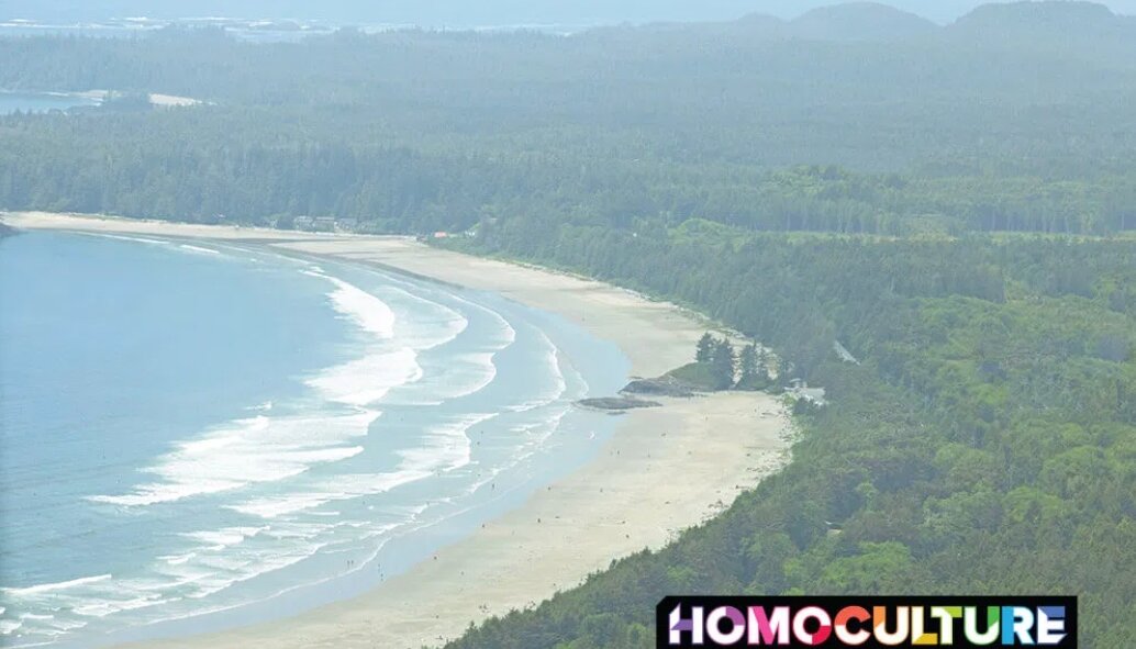 Aerial view of beach, ocean, and forest