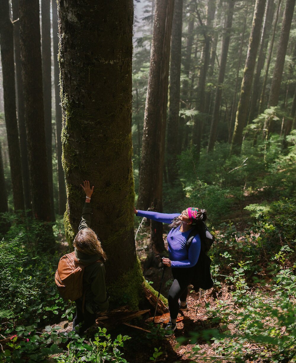 Two women stand touching the bark of a tree as they hike up a steep hill