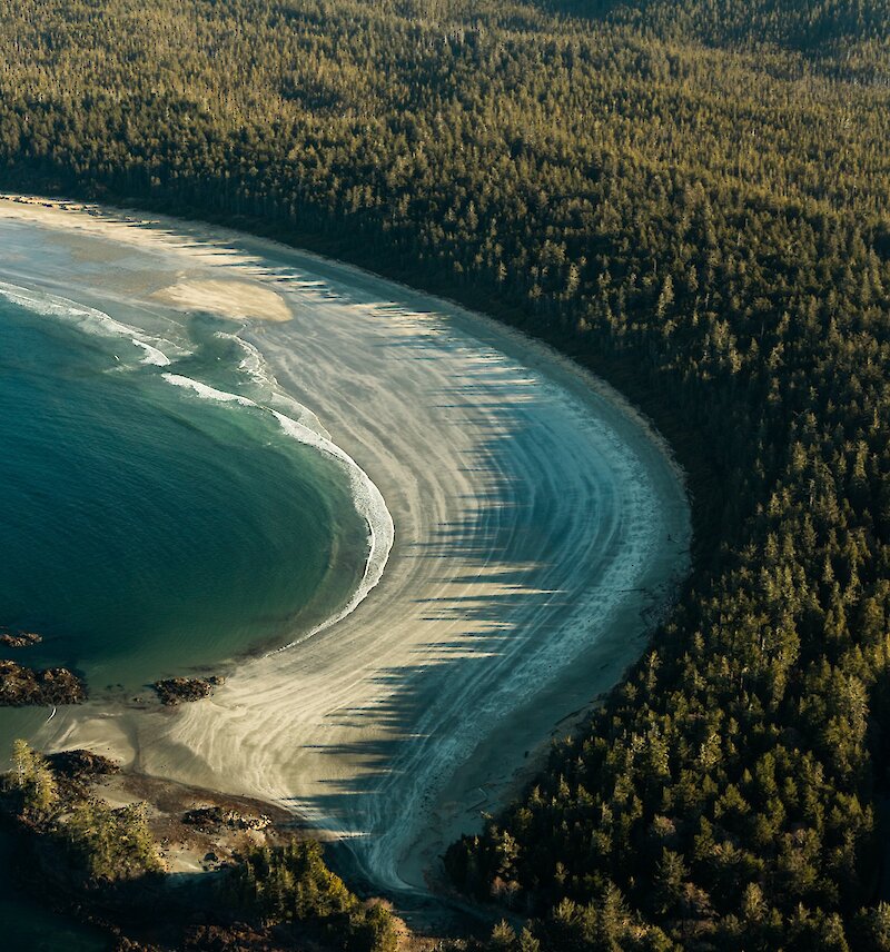 Aerial of the surf, beach and forest.