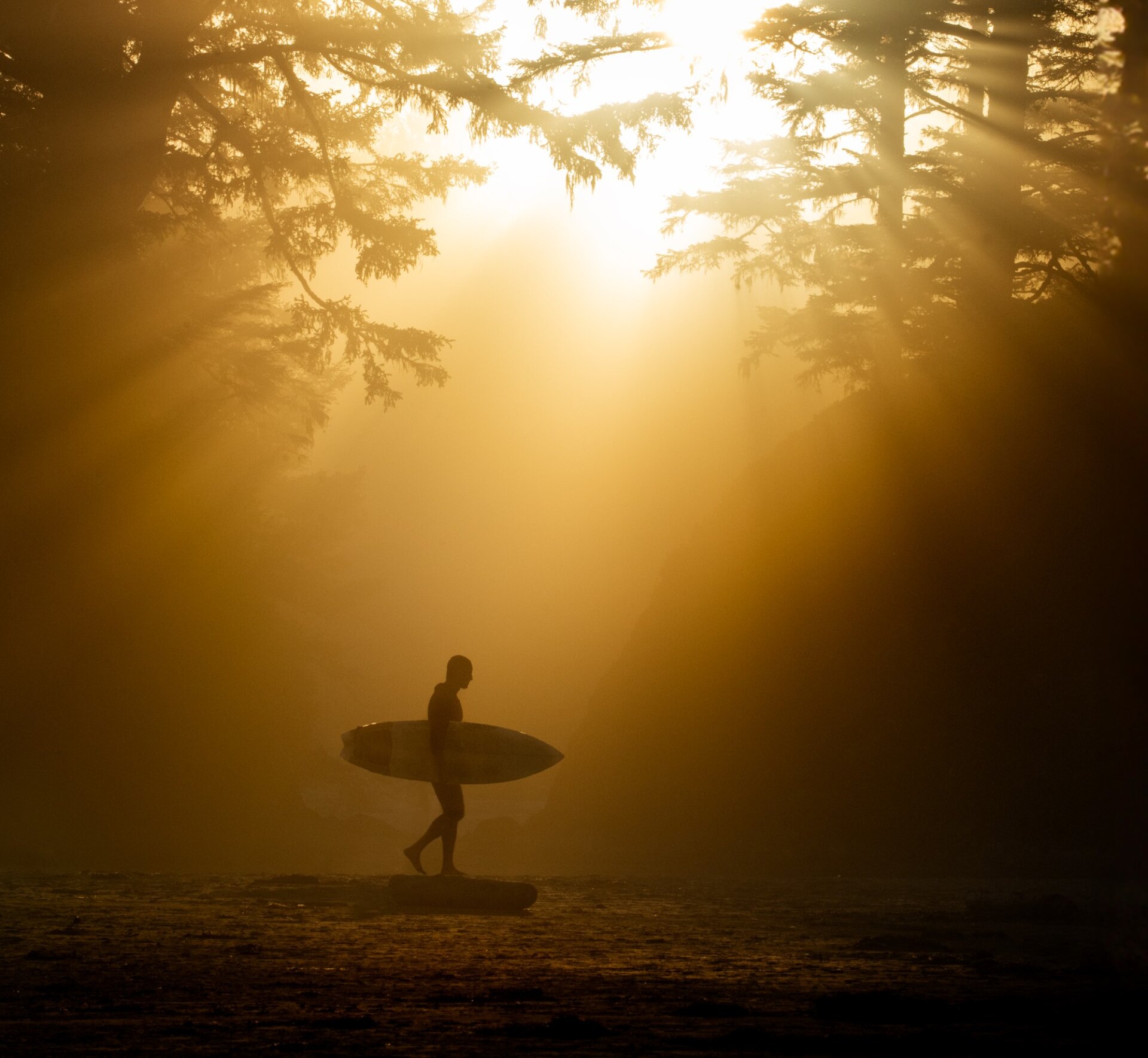 Surfer walking on a long on the beach with sunbeams peeking though the forest in the background