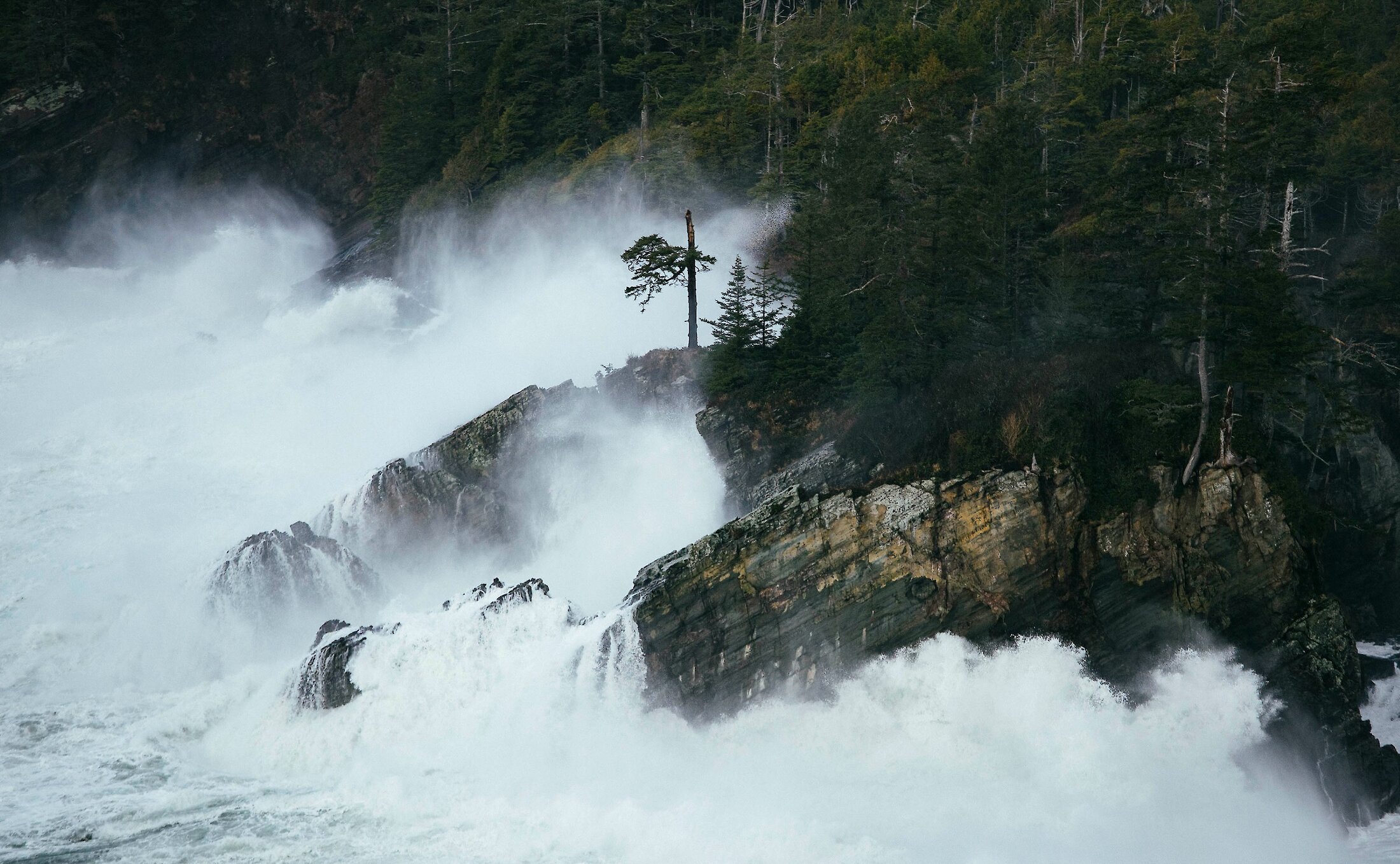 Waves crashing against the shore in a storm