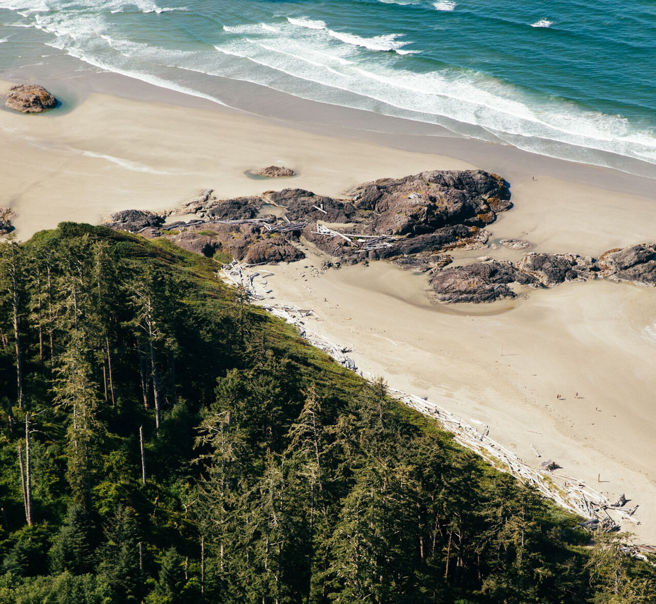 Forest meets sandy beach, rocky outcroppings and blue surf