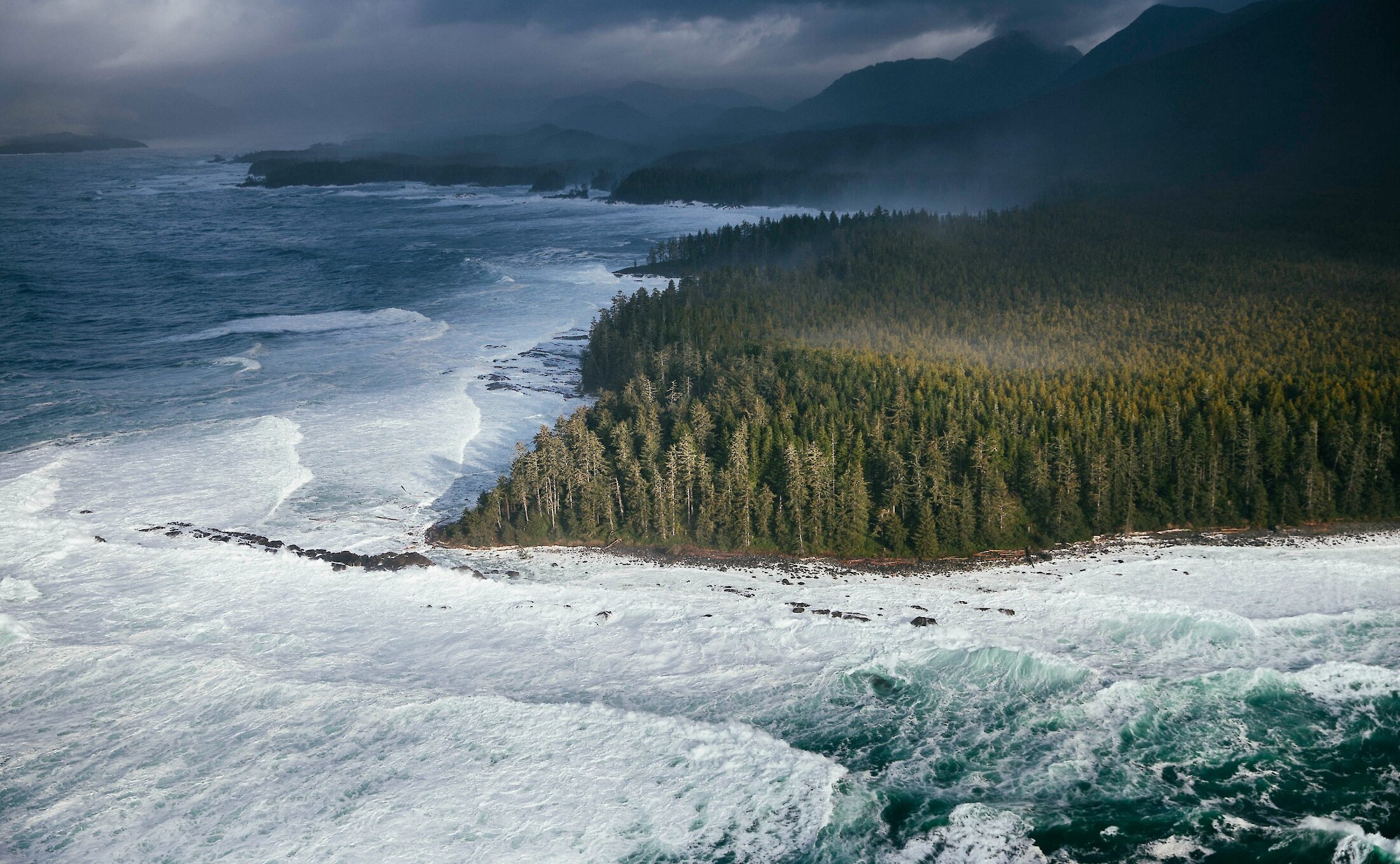 Forested peninsula on a stormy day with surf crashing