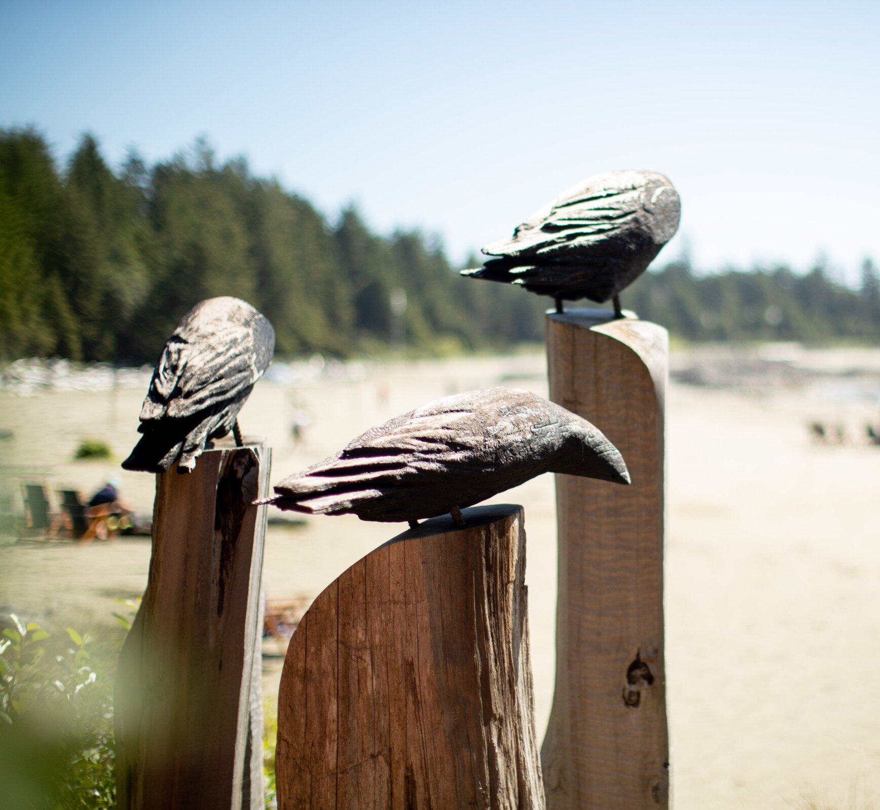 Sculpture of ravens at Wickaninnish Beach