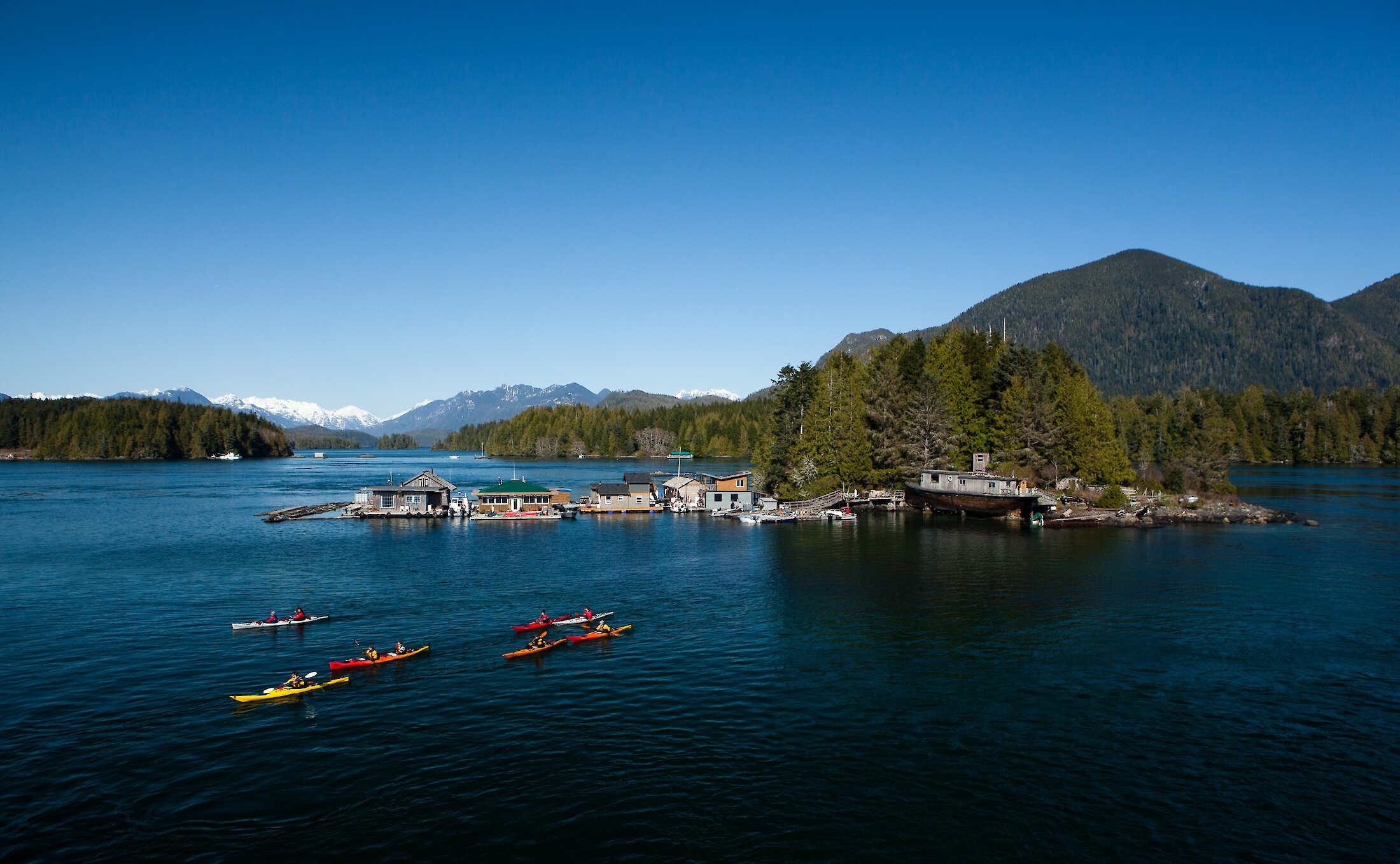 A group of kayakers in Tofino Harbour with a collection of float homes behind them on a sunny day with the mountains in the background.