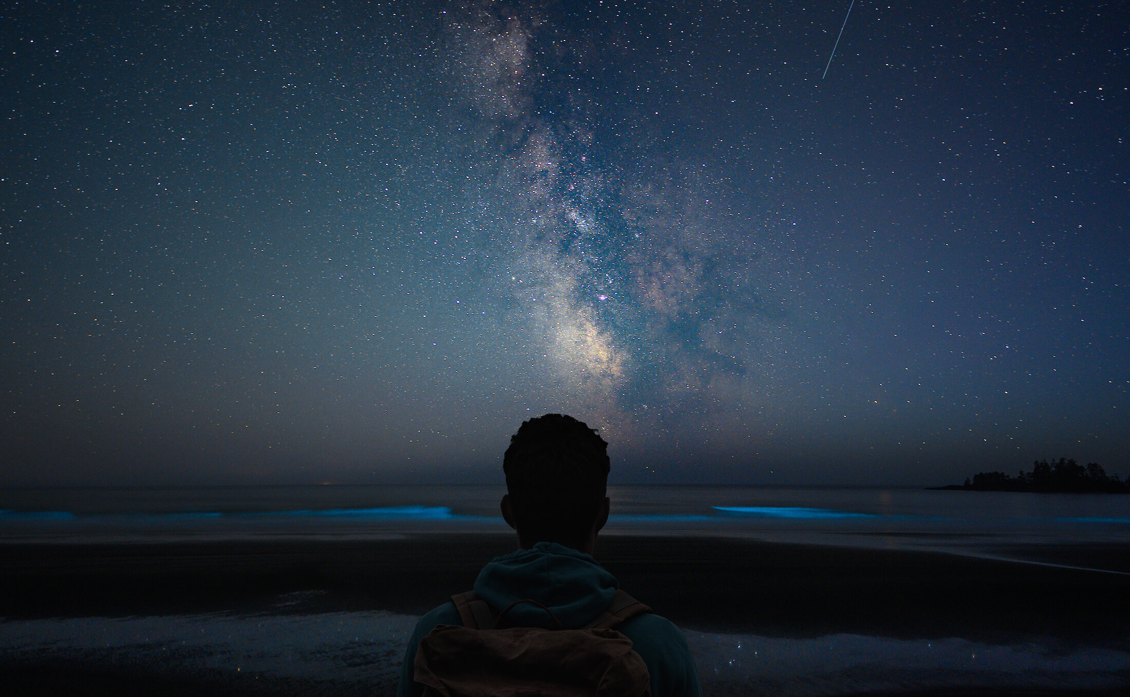 Back of the head of a person looking at the Milky Way