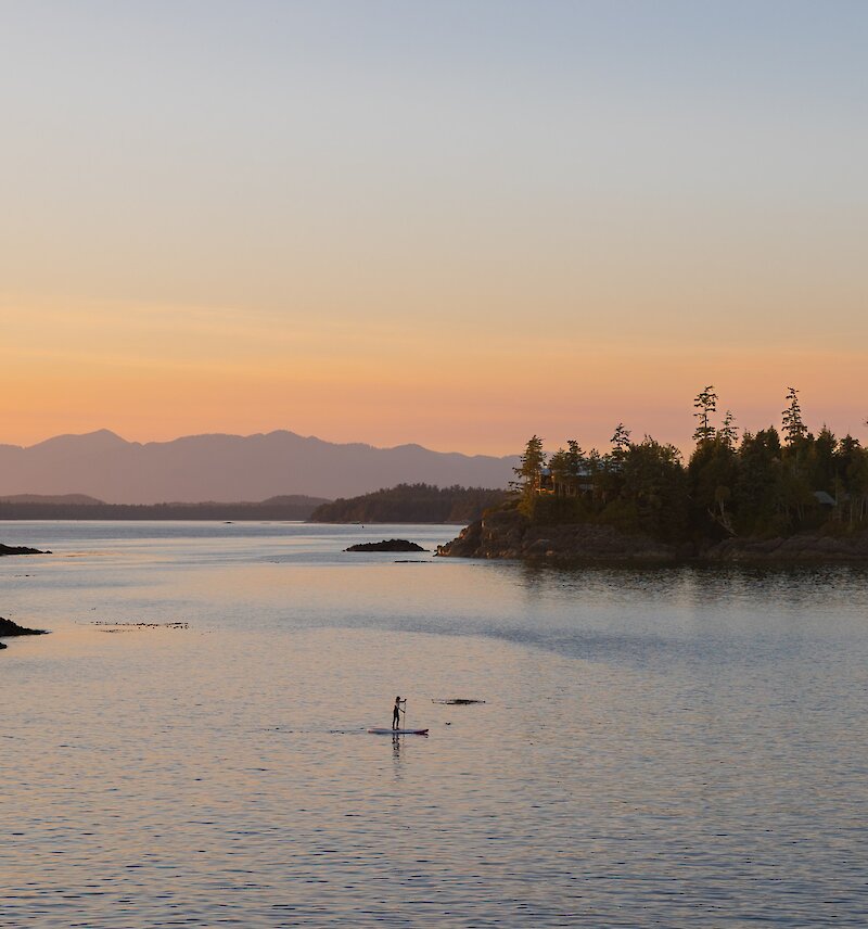 aerial shot of two people stand up paddleboarding at sunset