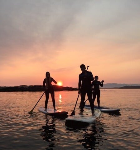 silhouettes of 3 people on paddleboards at sunset