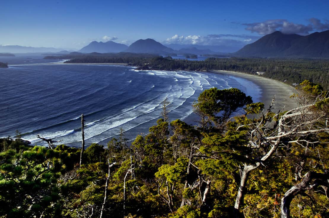 tofino travel packages